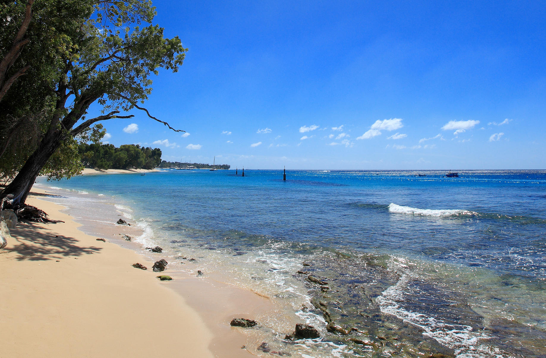 Barbados Villa Connections: Caprice Gallery 1