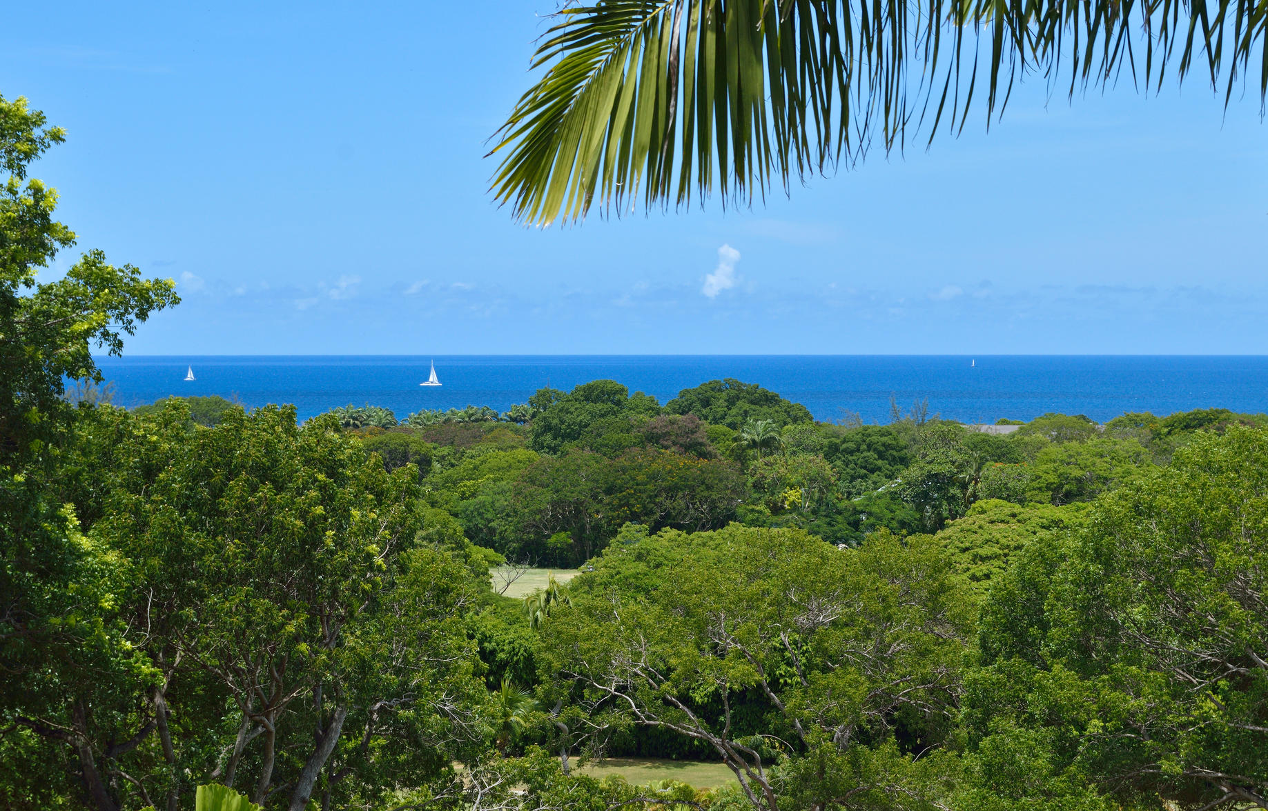 Barbados Villa Connections: Halle Rose Gallery 21