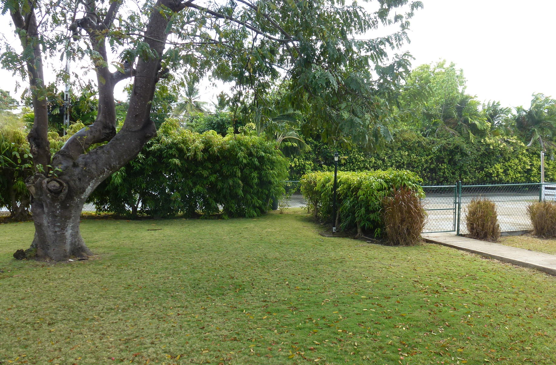 Barbados Villa Connections: 66 Cordia Gallery 13