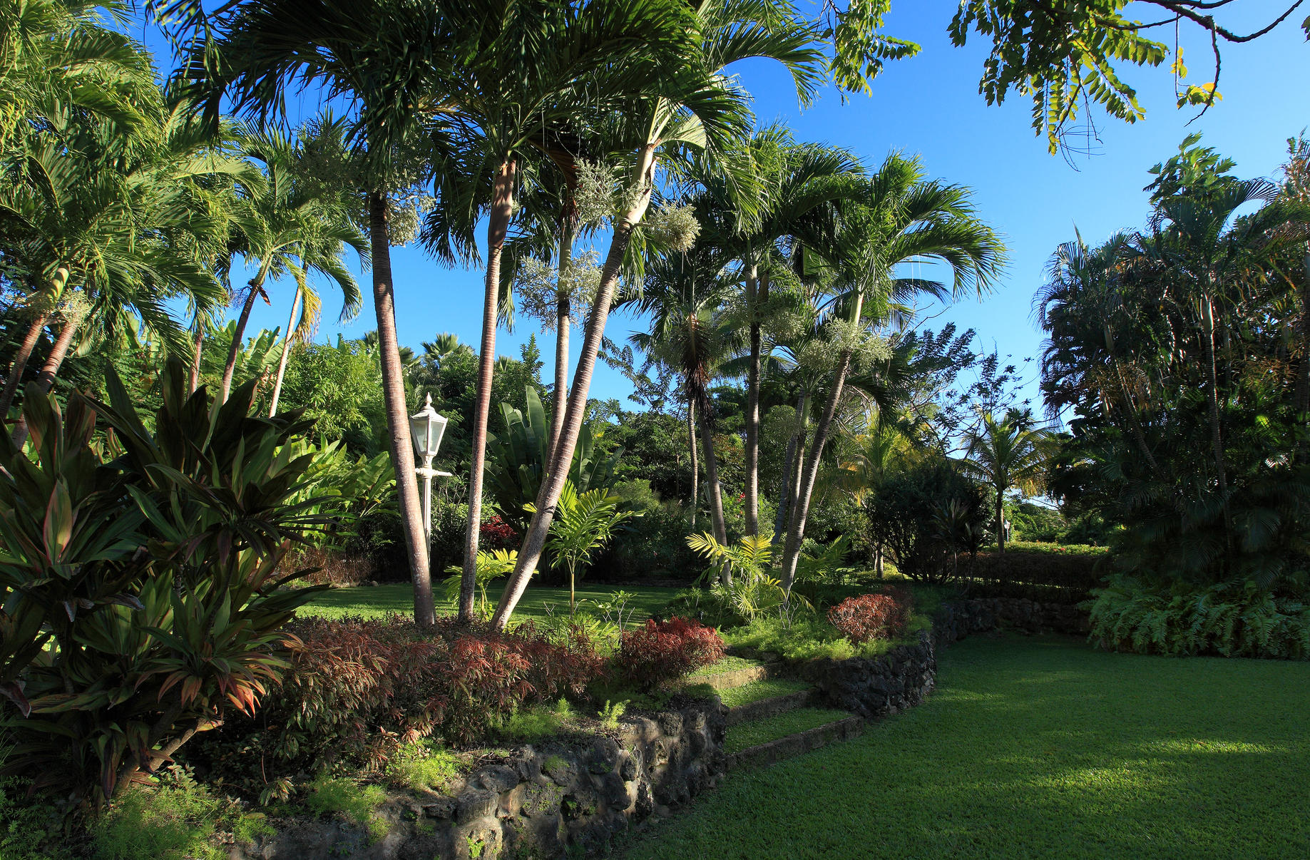 Barbados Villa Connections: Vistamar Sandy Lane Gallery 2